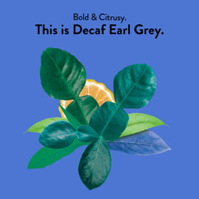 Bergamot aroma enhances Choice Organic Teas Earl Grey during steeping