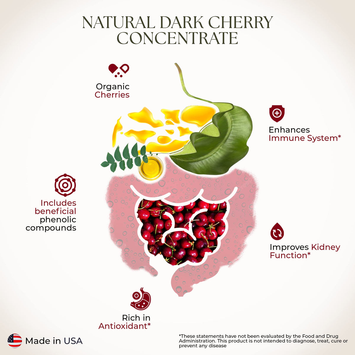 Bernard Jensen's dark cherry concentrate kitchen scene ready for cherry recipes.