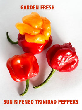 Bertie's Original Pepper Sauce enhances Caribbean-inspired dishes.