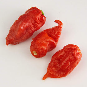 Bertie's Trinidad Scorpion sandwich-dressing shot suggests bold condiments for lunch favorites.