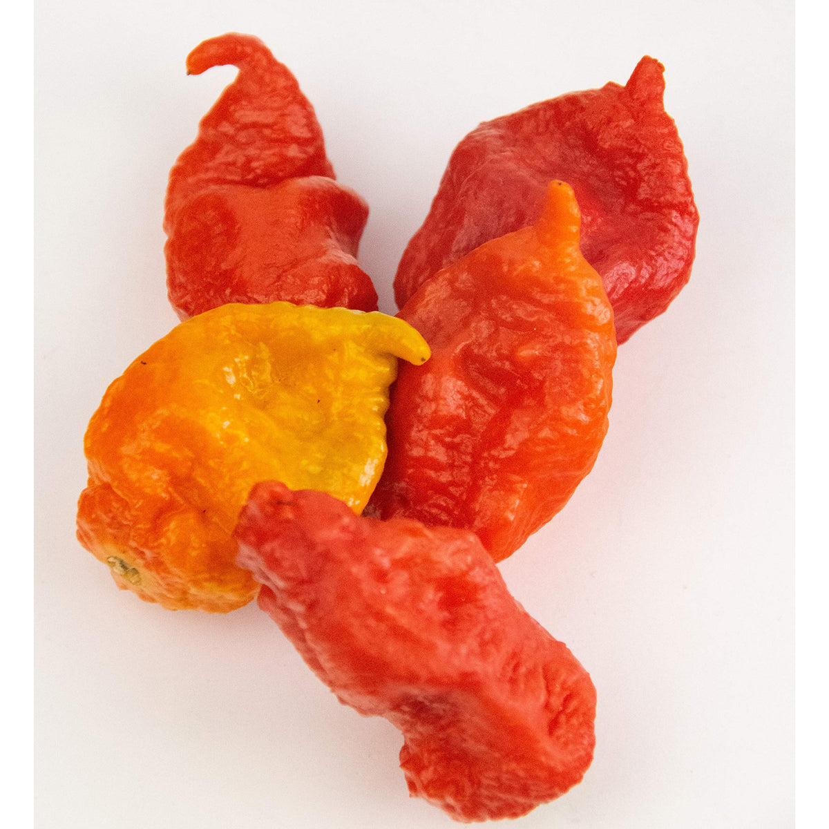 Bertie's Trinidad Scorpion taste-profile image hints at intense heat and zing.