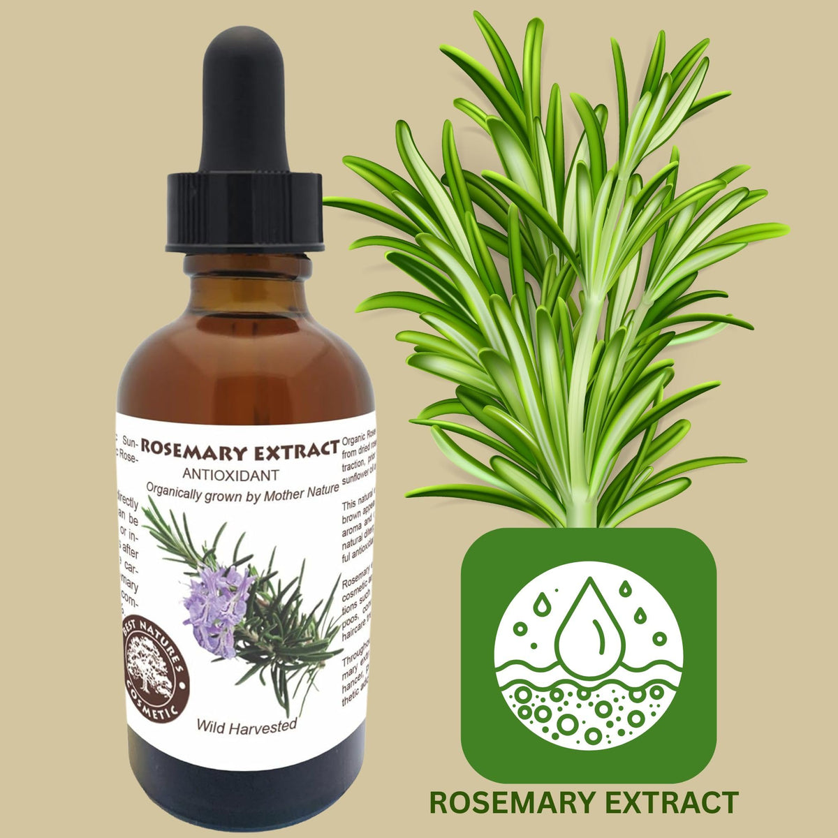 Best Nature's Rosemary antioxidant extract in dropper bottle for formulation use