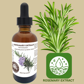 Best Nature's Rosemary antioxidant extract in dropper bottle for formulation use