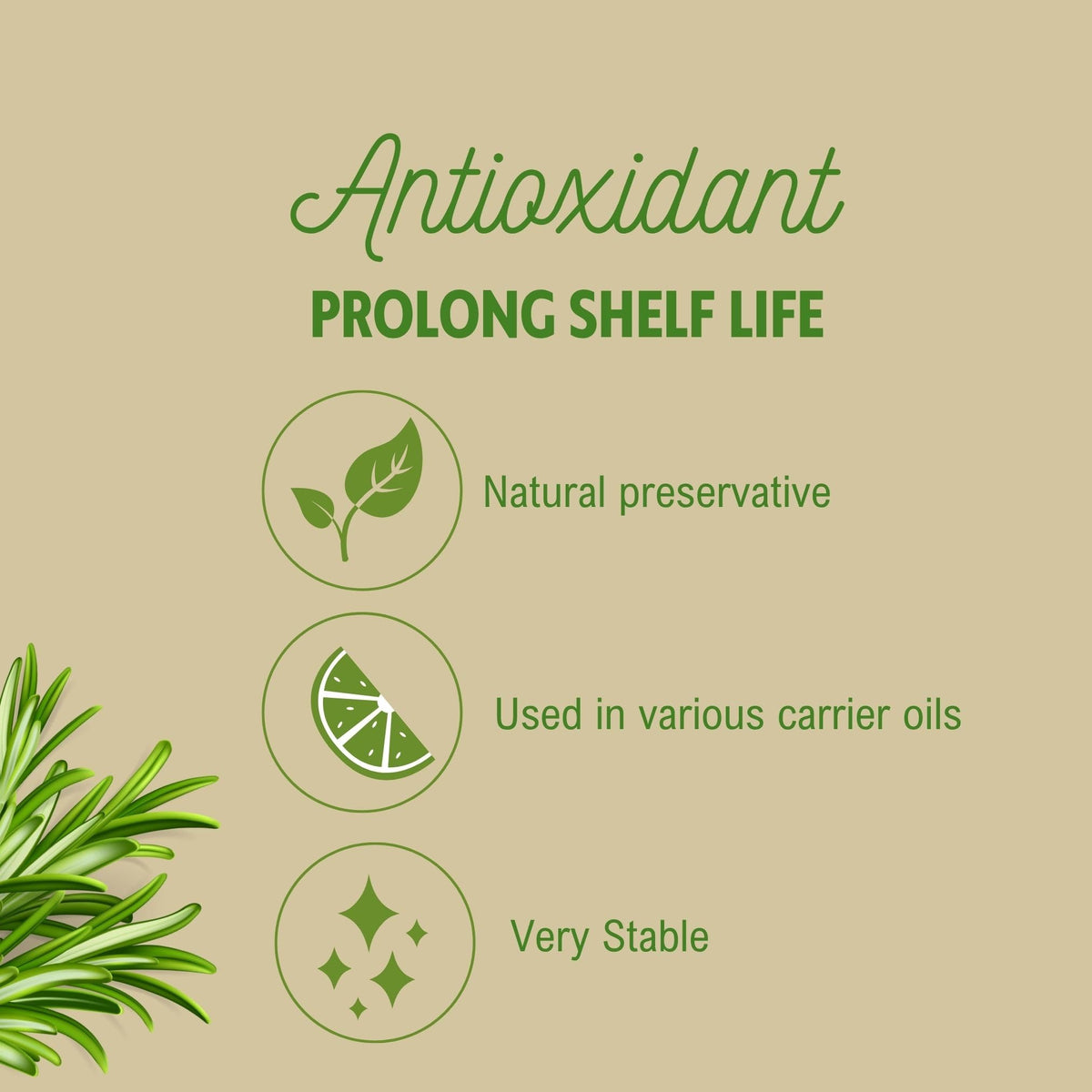 Best Nature's Rosemary antioxidant extract front label view for product clarity