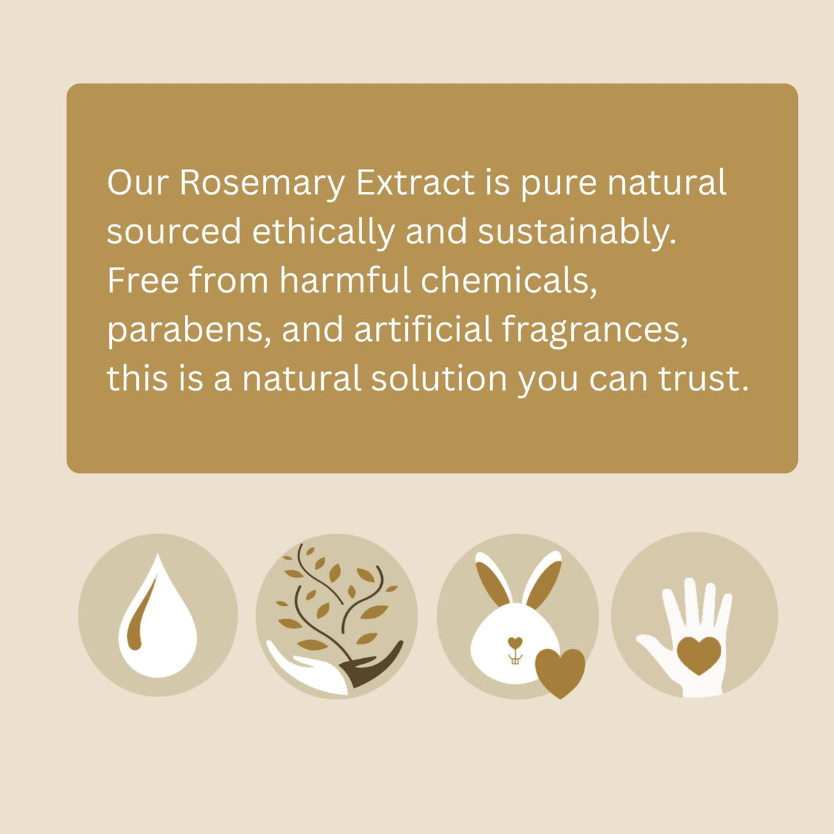 Best Nature's Rosemary antioxidant extract in a lab setup for testing stability