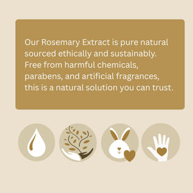 Best Nature's Rosemary antioxidant extract in a lab setup for testing stability