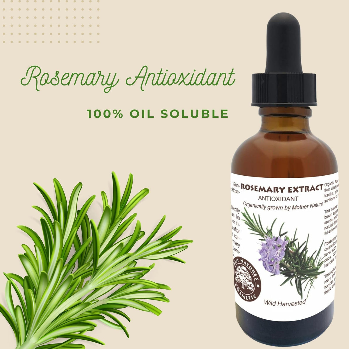 Best Nature's Rosemary antioxidant extract prepared for oil dilution before use