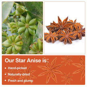 Besway Star Anise tea-brewing enhances warm beverages with comforting spice.