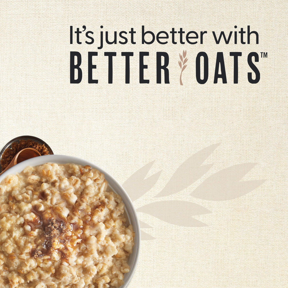 Steaming bowl of thick, hearty oatmeal ideal for a busy morning