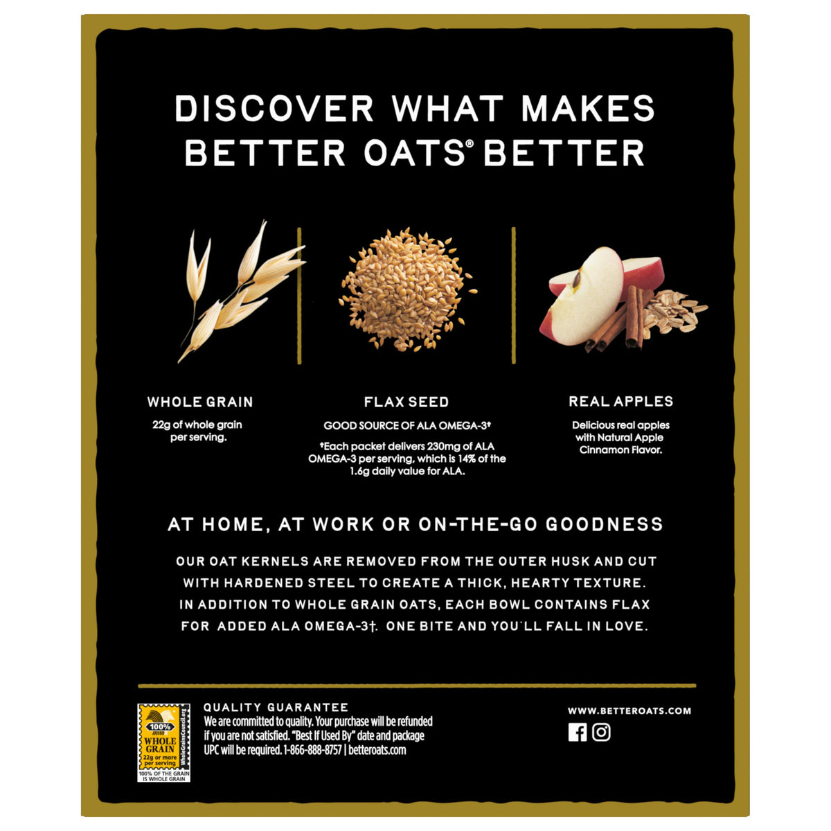 Ready-to-serve Better Oats bowl with warm cinnamon aroma.