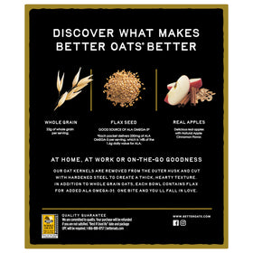 Ready-to-serve Better Oats bowl with warm cinnamon aroma.