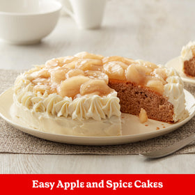 Betty Crocker Delights spice cake finished slice showing moist texture.
