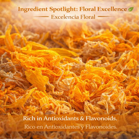 B-Experts Calendula petals for topical use in balms and salves