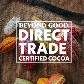 Beyond Good agroforestry cocoa supporting ecosystems and reforestation in Madagascar