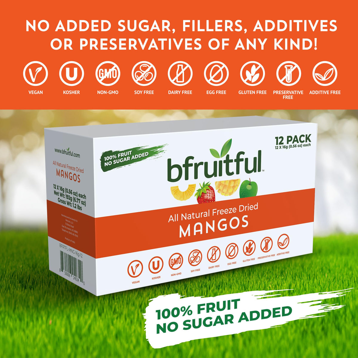 bfruitful on-the-go snack for busy days and travel