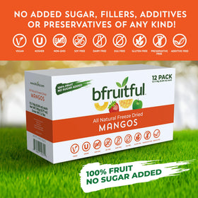 bfruitful on-the-go snack for busy days and travel