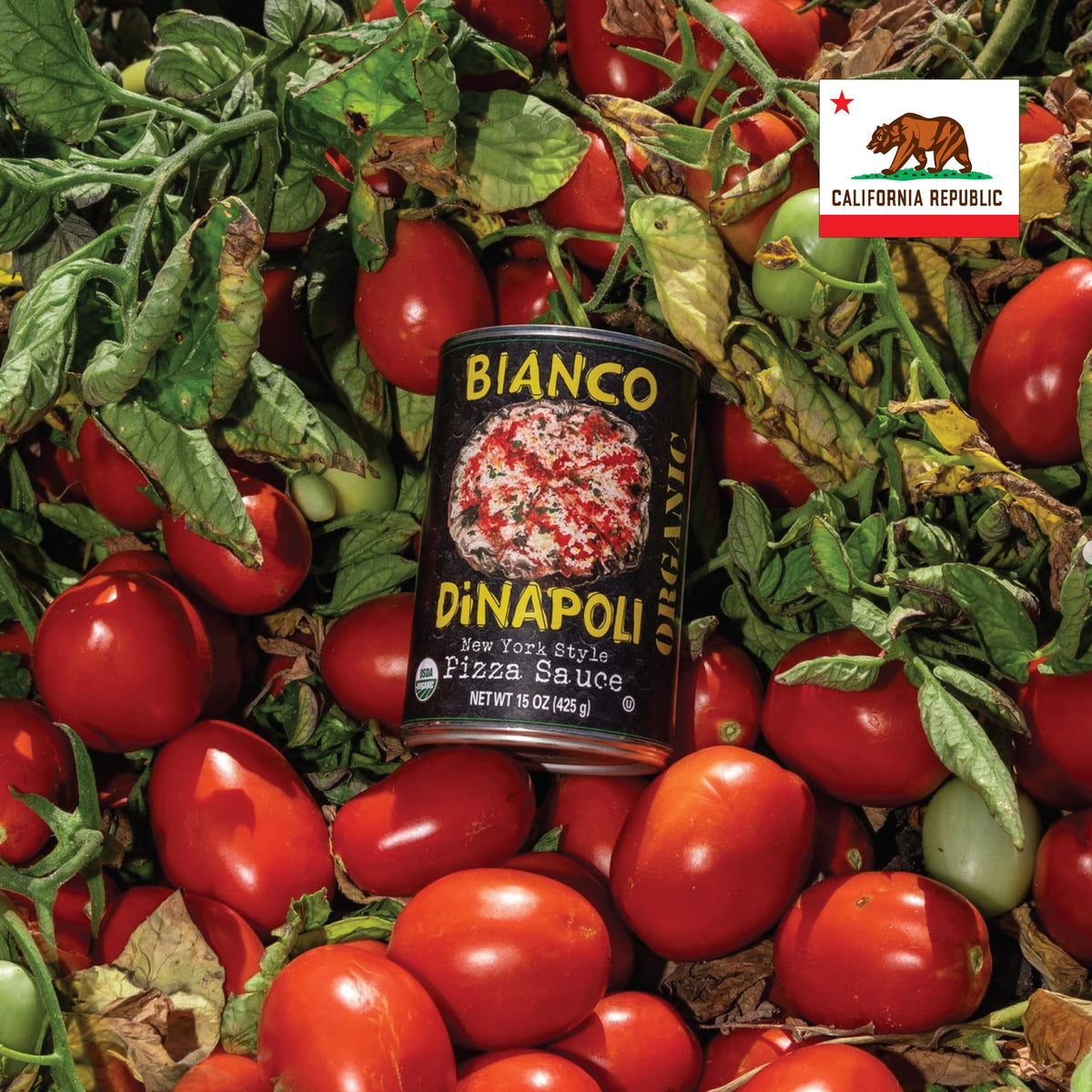 Bianco DiNapoli burst-flavor-slice close-up suggests vibrant, flavorful toppings