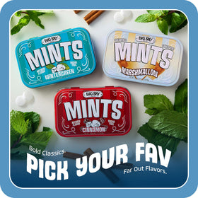 Gift-ready stack of Big Sky tins for pantry or gift occasions.