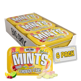 Big Sky Lemonade Stand Mints tin front view for on-the-go freshness