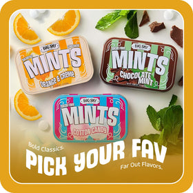 BIG SKY Orange & Crème Mints travel pocket — purse or car-friendly refreshment.