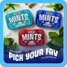 Gift-ready Big Sky Peppermint Mints tin set for easy sharing.