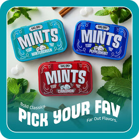 Ideal after meals for quick breath refresh.