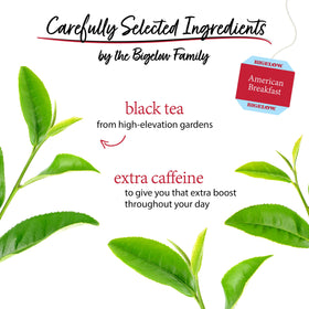 Display of six Bigelow American Breakfast tea boxes for daily use.