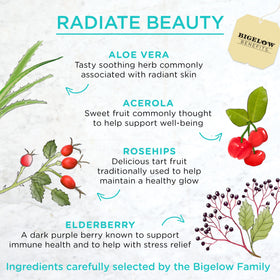 Close-up of aloe vera, acerola, rose hips and elderberries ingredients