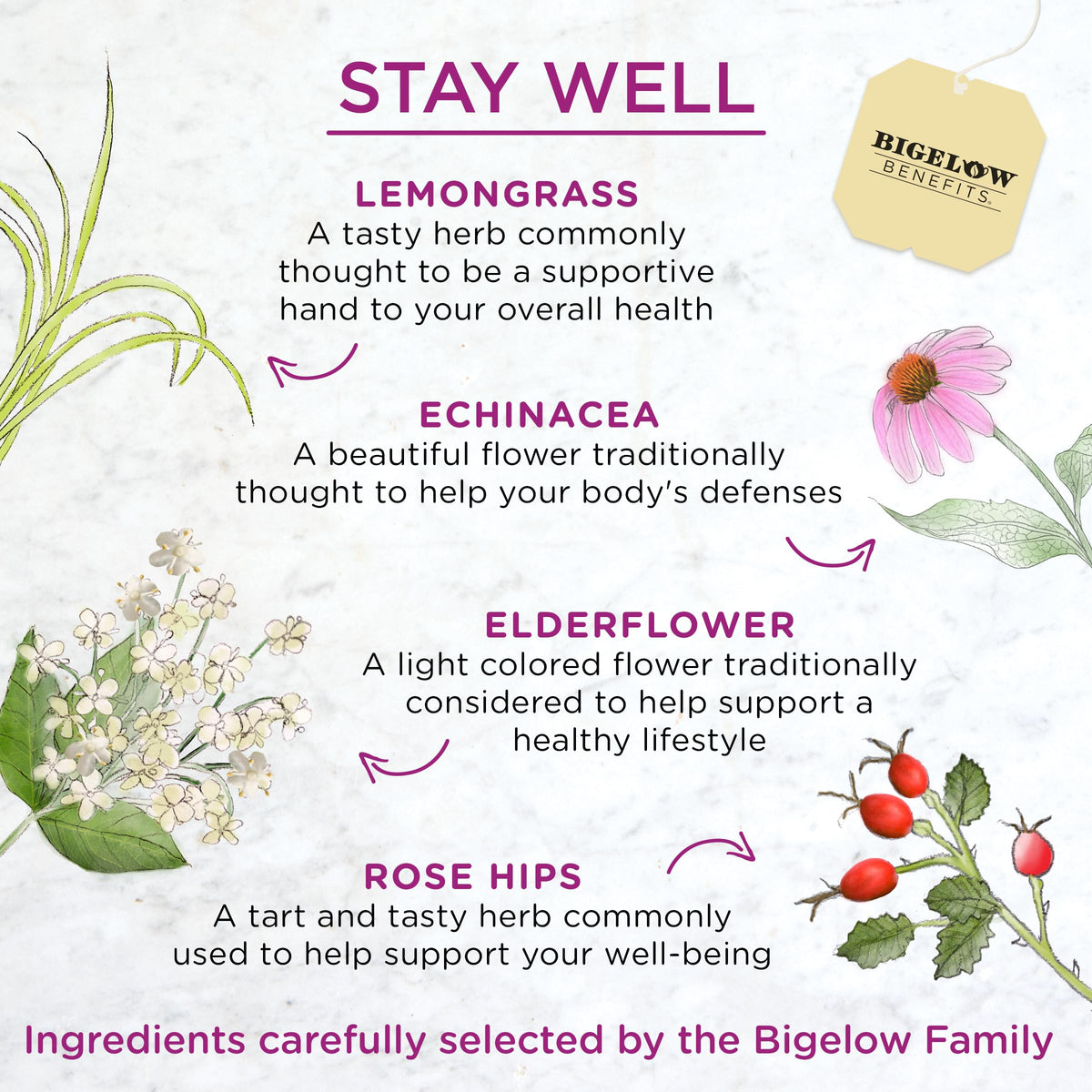 Bigelow Stay Well lemon echinacea tea being brewed hot