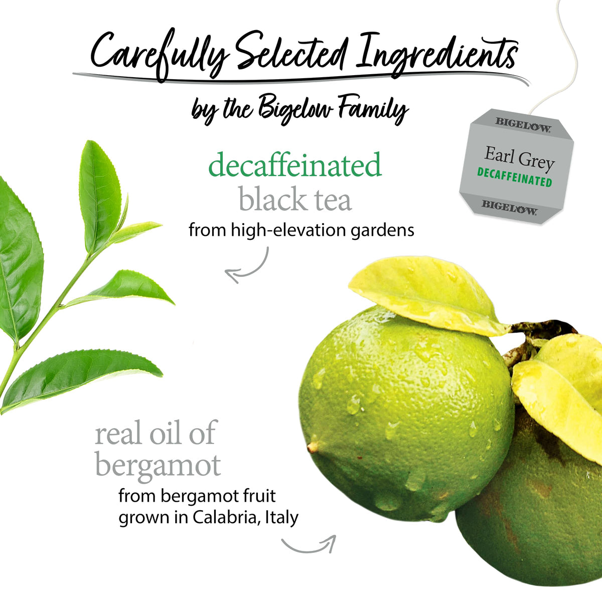 Bigelow bergamot oil Calabria origin emphasizes authentic citrus aroma in every cup.
