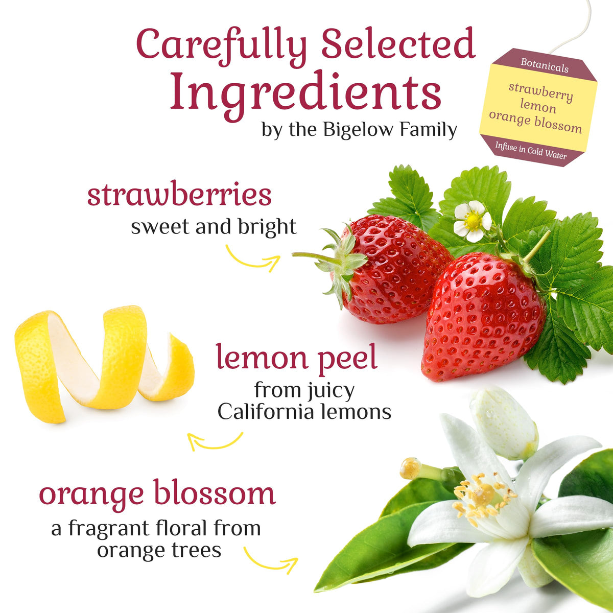 Bigelow Botanicals Cold Water Infusion foil pouch seals for peak freshness and aroma.