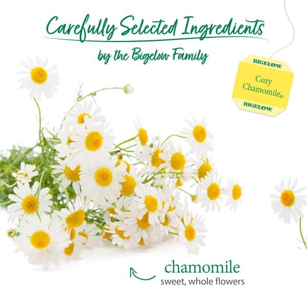 Bigelow Cozy Chamomile box front highlights a calming herbal blend.