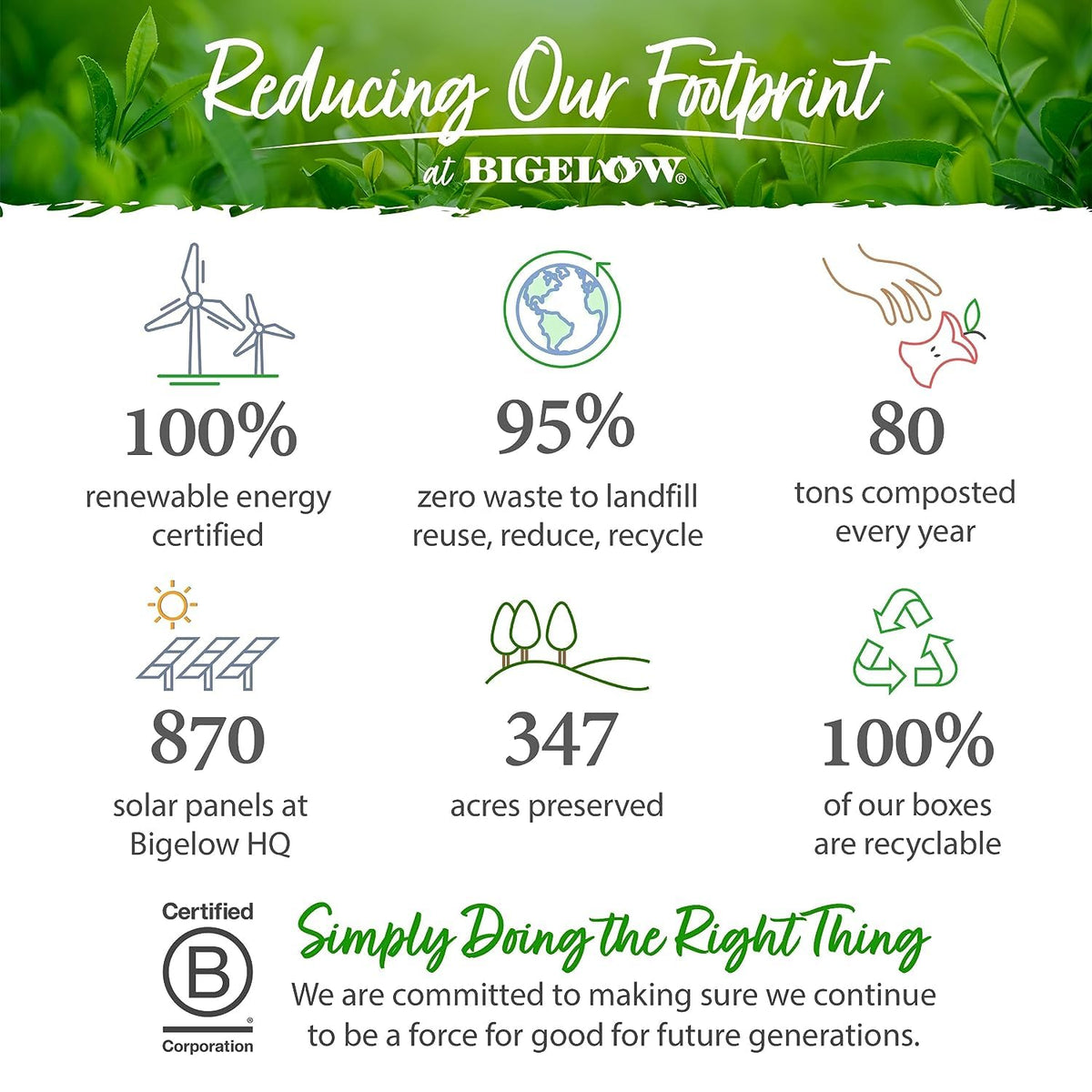 Bigelow, a family-owned brand with a long heritage in tea.