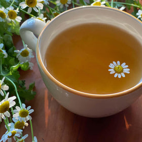 Bigelow Cozy Chamomile Tea steaming cup ready for relaxation.