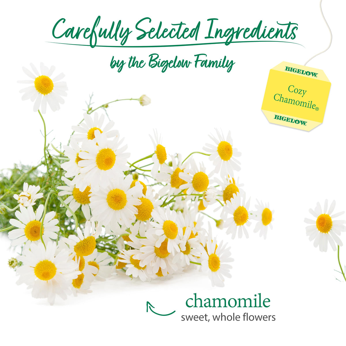 Bigelow Cozy Chamomile Tea shows whole chamomile flowers for a soothing aroma.