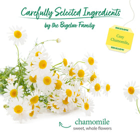 Bigelow Cozy Chamomile Tea shows whole chamomile flowers for a soothing aroma.