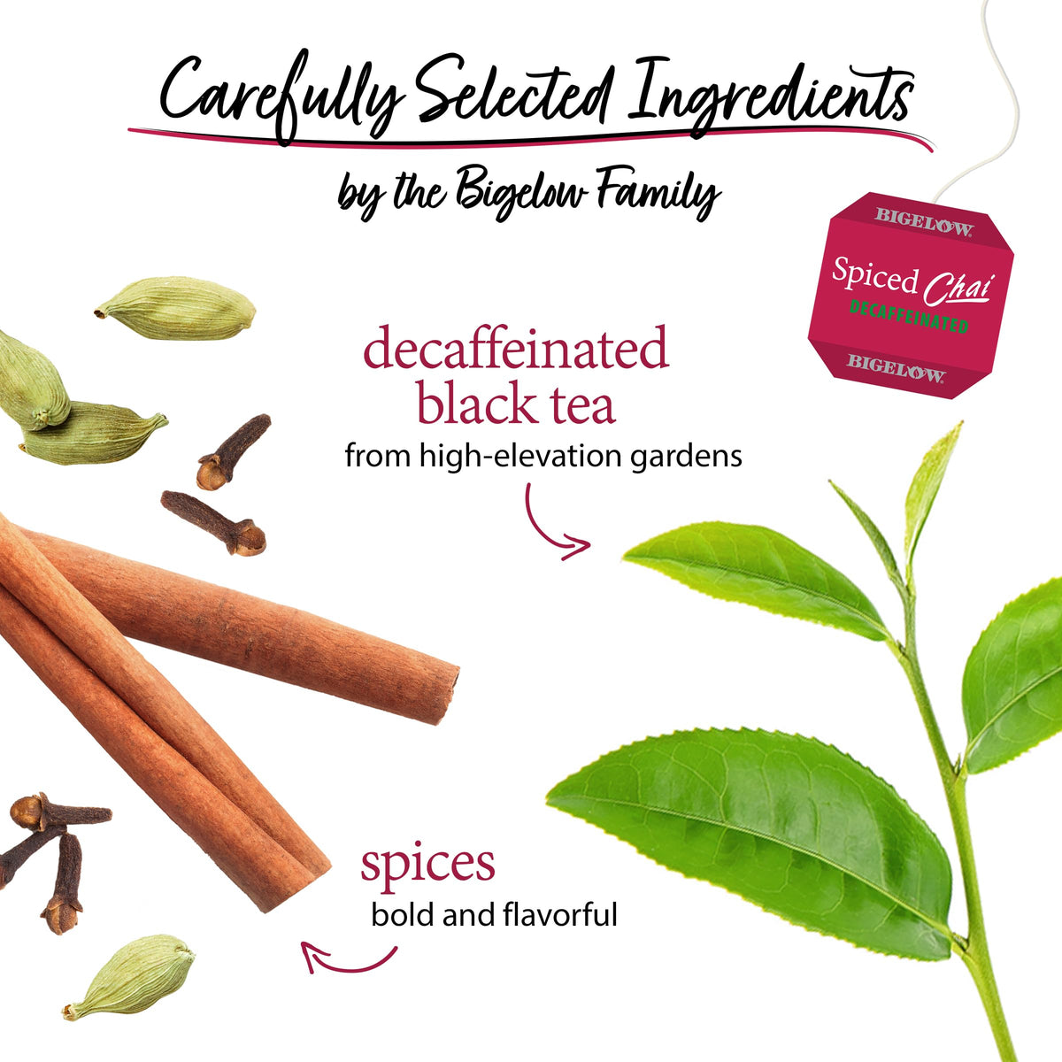 Bigelow Decaffeinated Spiced Chai brewed cup reveals warm aroma.
