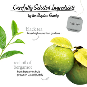 Two-box display of Bigelow Earl Grey with a steaming cup ready to enjoy.