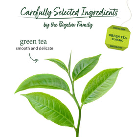 Bigelow Green Tea Bags steeping to release balanced aroma and mild taste.