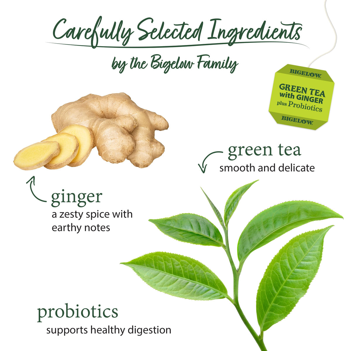 Bigelow Green Tea with Ginger Probiotics box packaging showing six-pack