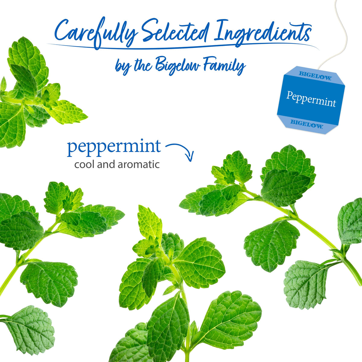 Cup of Bigelow Peppermint tea emphasizing calming, caffeine-free enjoyment