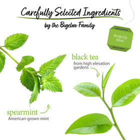 Spearmint leaves with Bigelow Perfectly Mint Black Tea aroma
