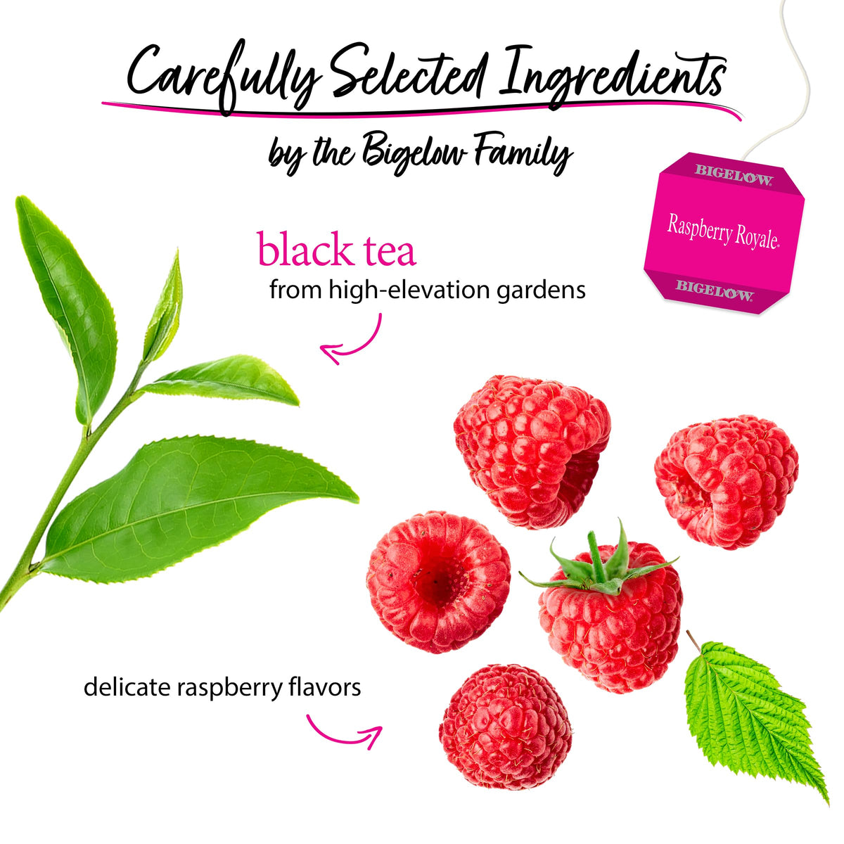 Pack of six Bigelow Raspberry Royale tea boxes for daily enjoyment.