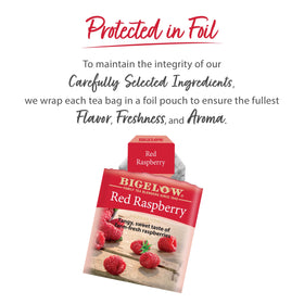Pouring Bigelow Red Raspberry Tea, illustrating a refreshing fruit-forward beverage.