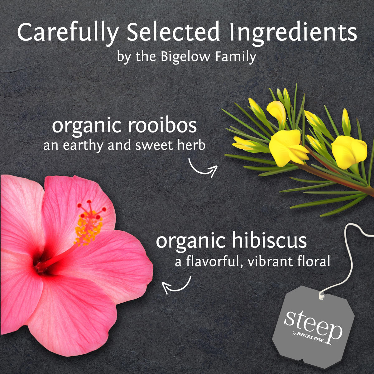 Bigelow Rooibos Hibiscus tea—steeping cup shows vibrant color and aroma.