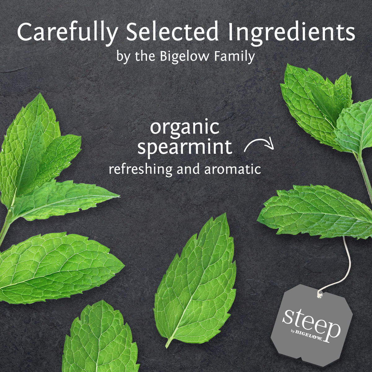 Bigelow mint tea foil-wrapped bags preserve peak freshness on the go.