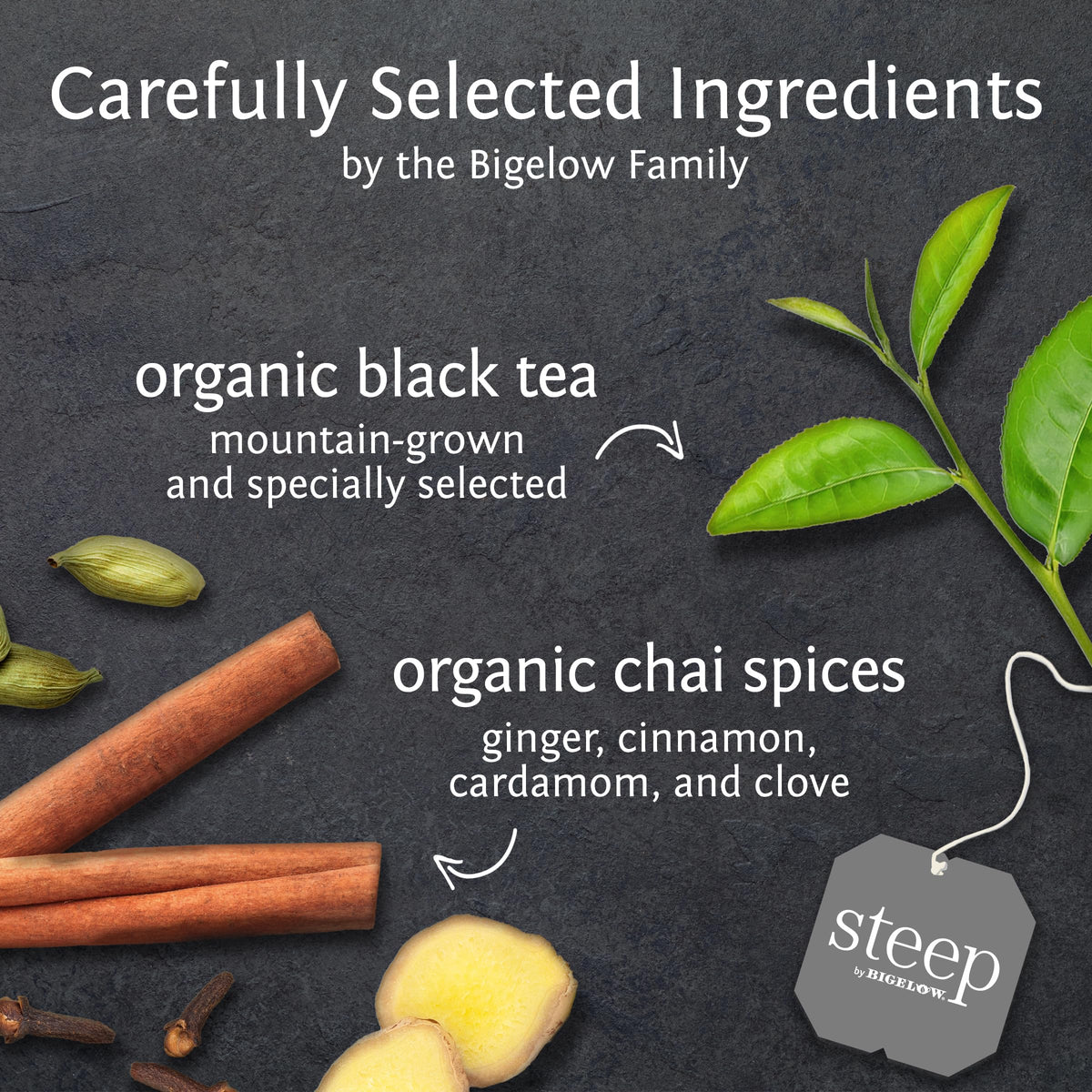 Bigelow Steep foil pouches preserve freshness and aroma for on-the-go tea moments.