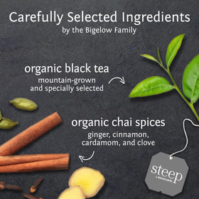 Bigelow Steep foil pouches preserve freshness and aroma for on-the-go tea moments.