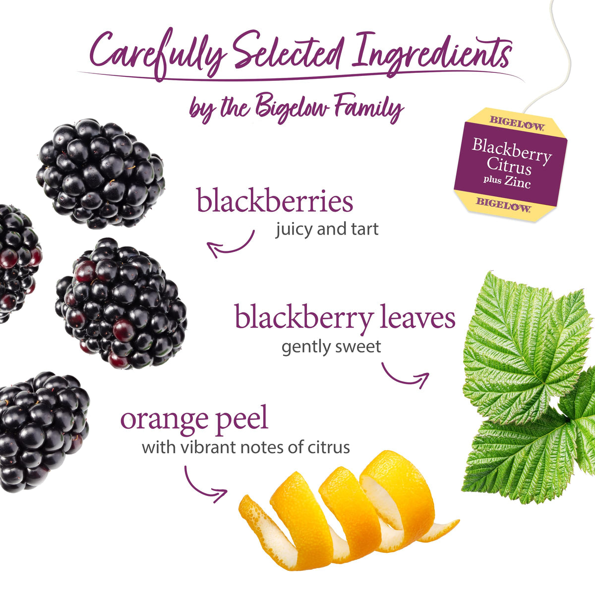 Brewed cup of Bigelow Blackberry Citrus Plus Zinc tea for a caffeine-free pause
