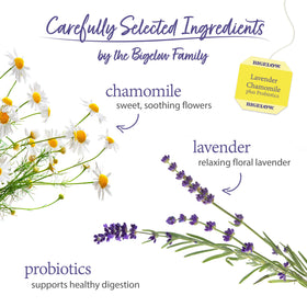 Bigelow Tea Lavender Chamomile Probiotics cup ready for caffeine free evenings